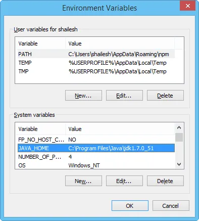 Java Home Environment Variable