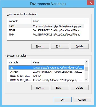 Path Environment Variable
