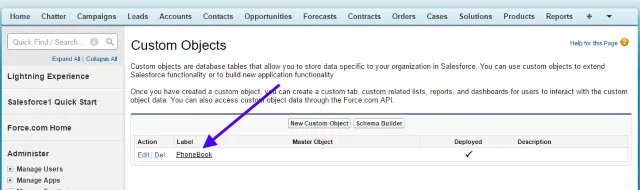 Salesforce - Custom Objects list